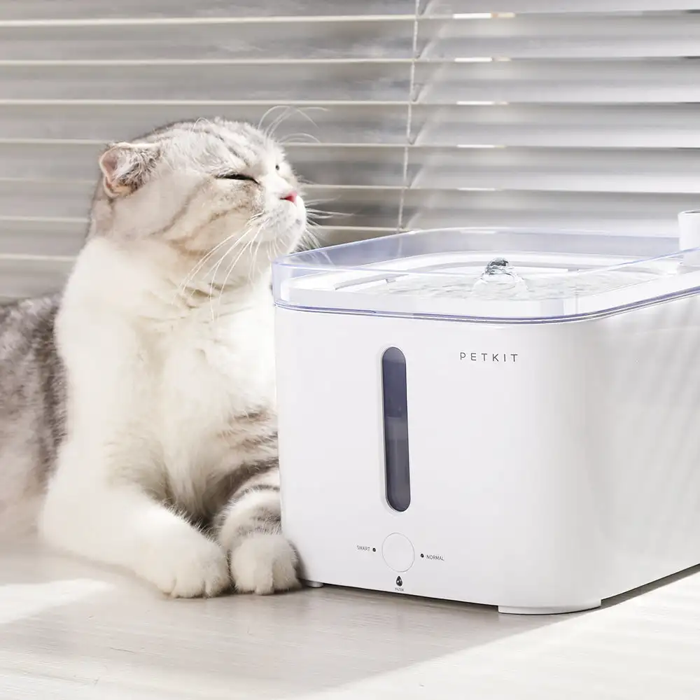 CANBOUN EVERSWEET Series Pet S - Automatic Pet Feeder บทวิจารณ์และราคา