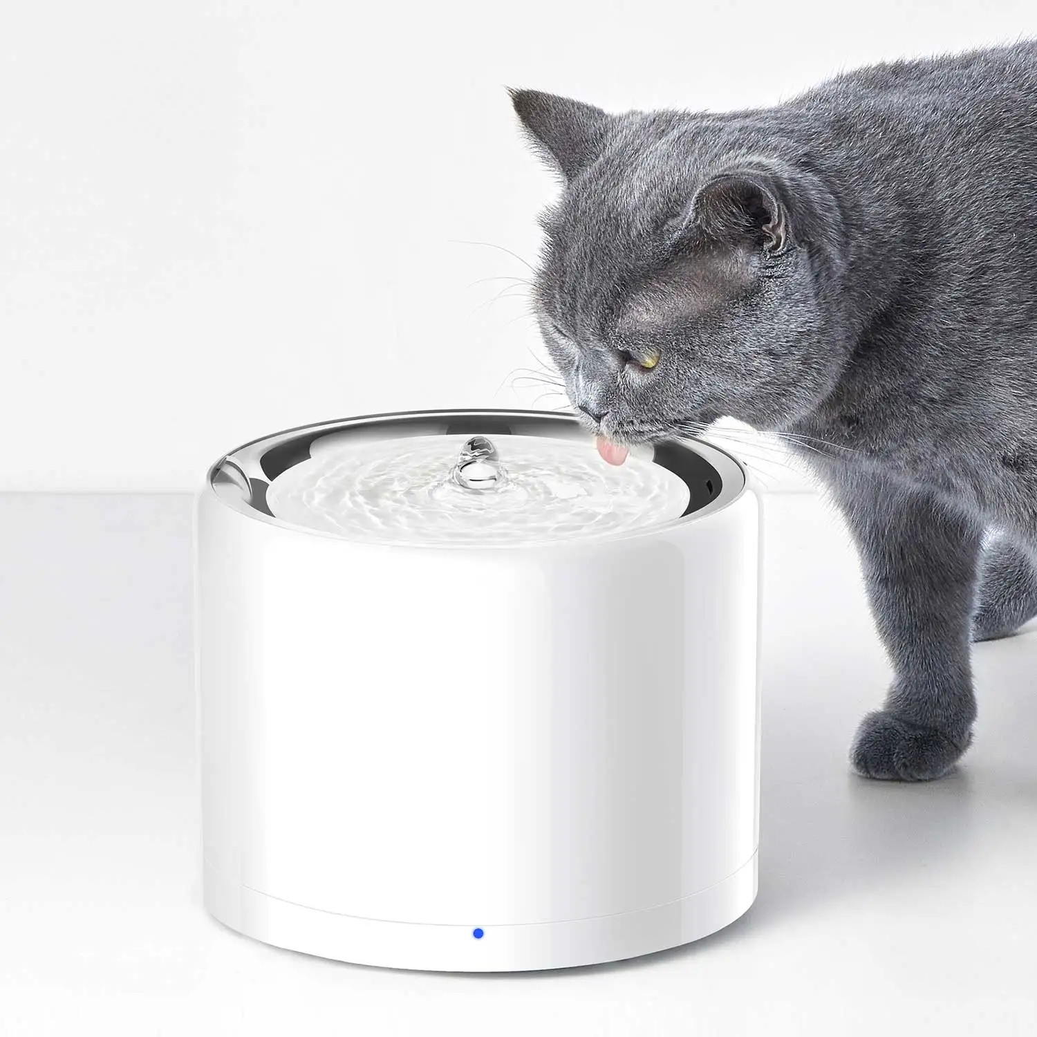 CANBOUN EVERSWEET Series Pet S - Automatic Pet Feeder บทวิจารณ์และราคา