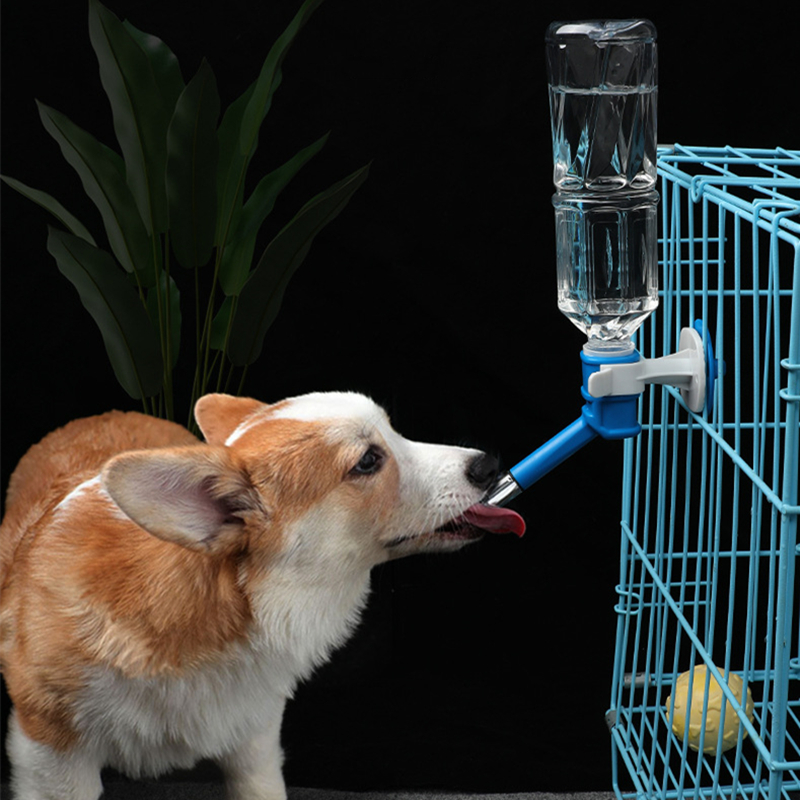 Pet Dog Cat Water Dispenser No - Cat Water Fountain Filter บทวิจารณ์และราคา