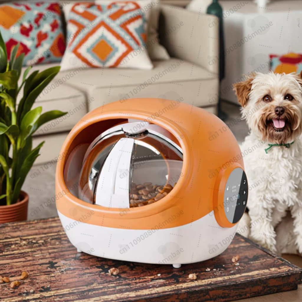 Automatic cat feeder RFID voic - Automatic Pet Feeder บทวิจารณ์และราคา