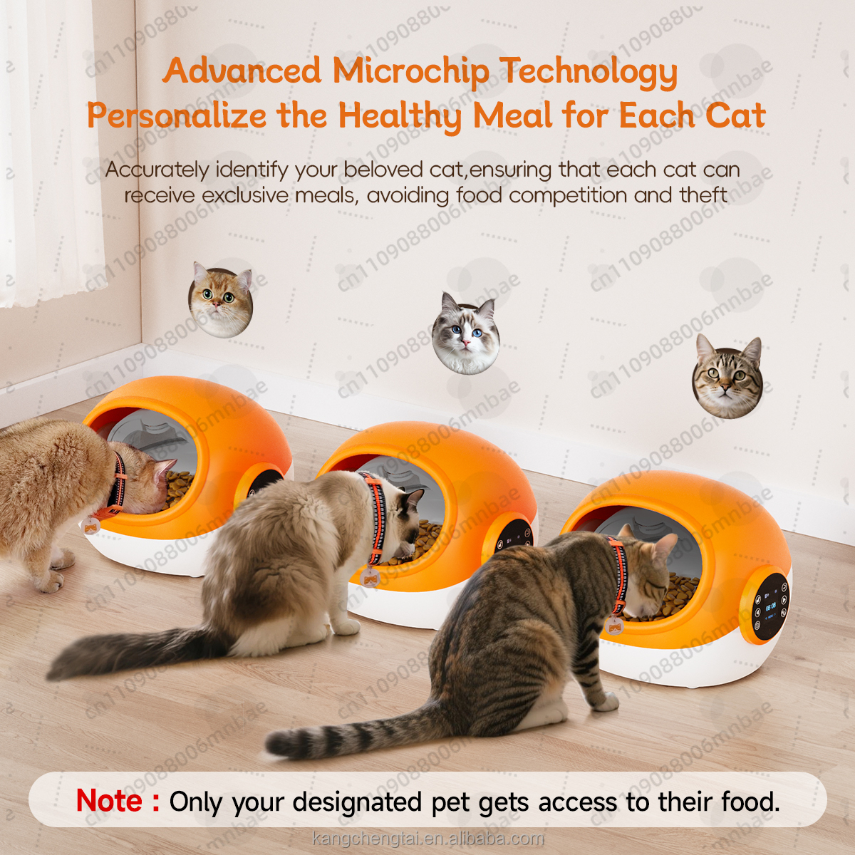Automatic cat feeder RFID voic - Automatic Pet Feeder บทวิจารณ์และราคา