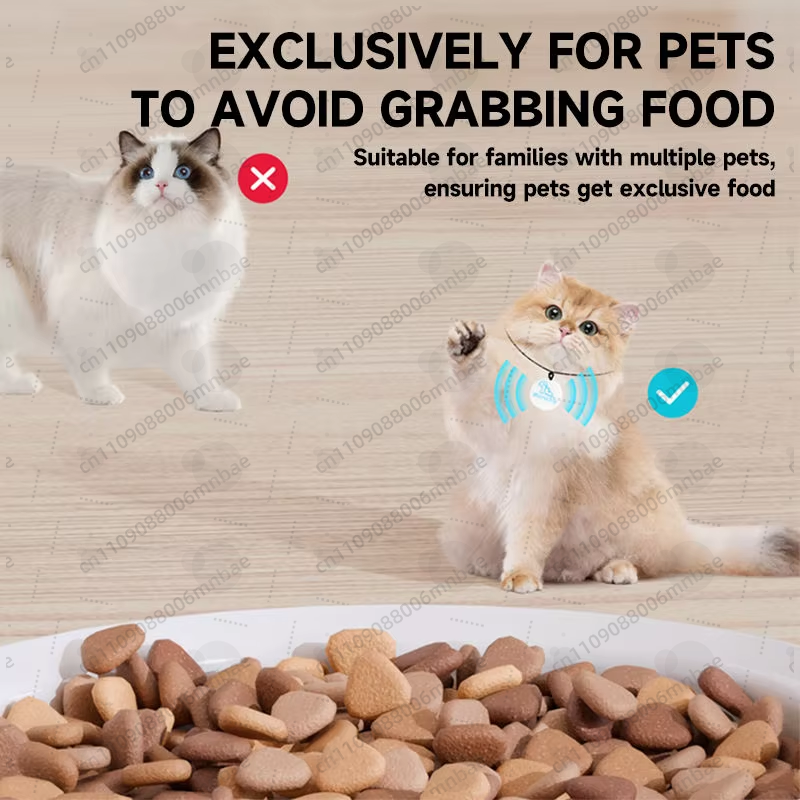 Automatic cat feeder RFID voic - Automatic Pet Feeder บทวิจารณ์และราคา