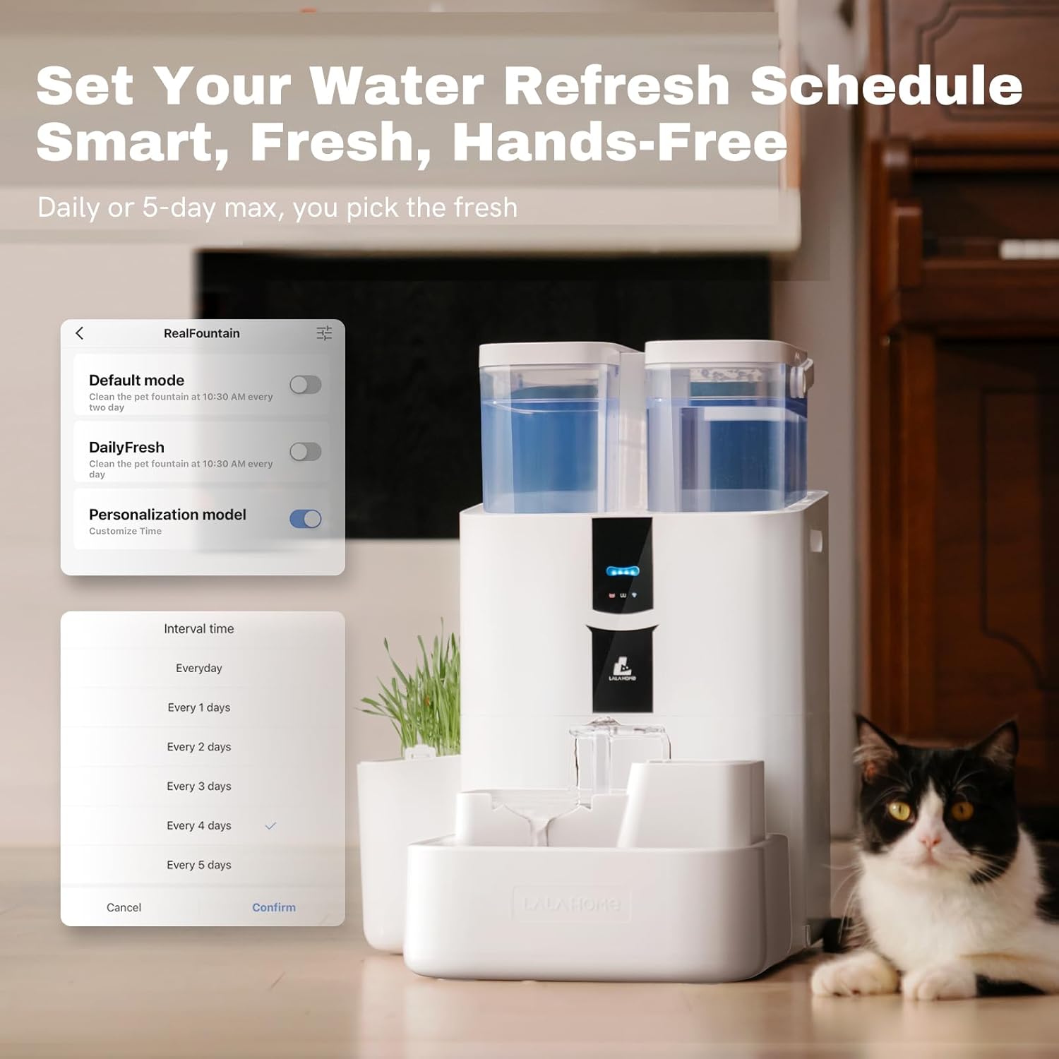 Automatic Cat Water Fountain 1 - Cat Water Fountain Filter บทวิจารณ์และราคา