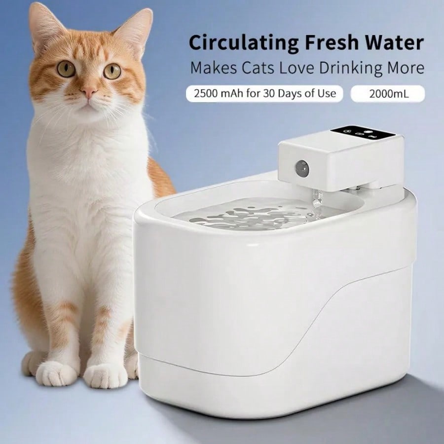 Smart Cat Water Fountain Autom - Cat Water Fountain Filter บทวิจารณ์และราคา